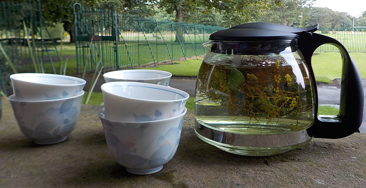 photo of Fennel and Borage tea at Growing Sudley