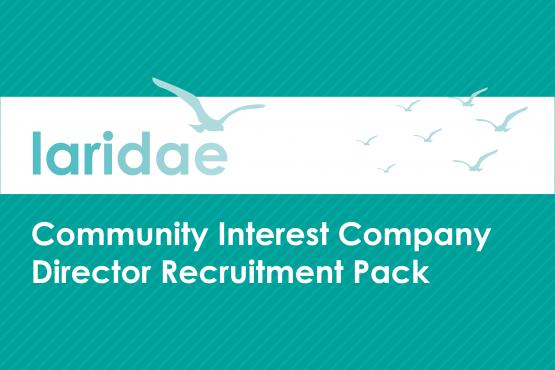 Image of front page of Laridae CIC Director Recruitment pack